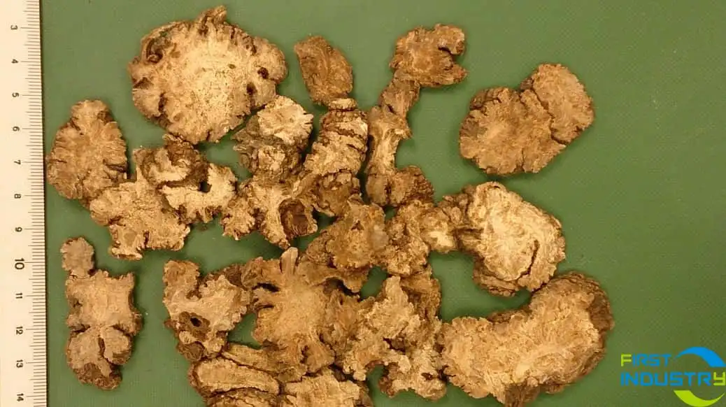Medicine root Medicine root