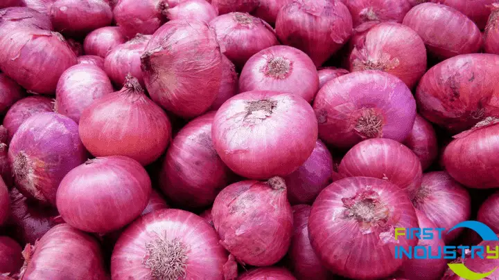 images/1558425345987Onion-grading-machine-1.png images/1558425345987Onion-grading-machine-1.png