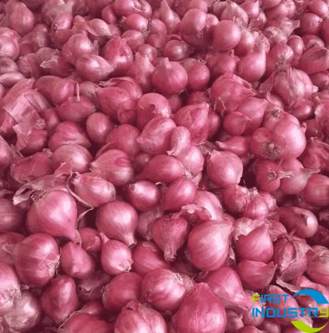 images/1558434347178Shallot-grading-machine1.png images/1558434347178Shallot-grading-machine1.png