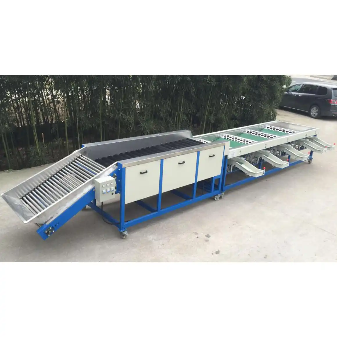Onion Garlic Grading Machine