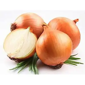 Onion grading machine
