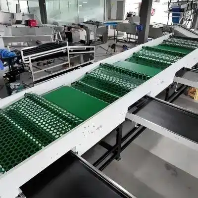 Onion grading machine