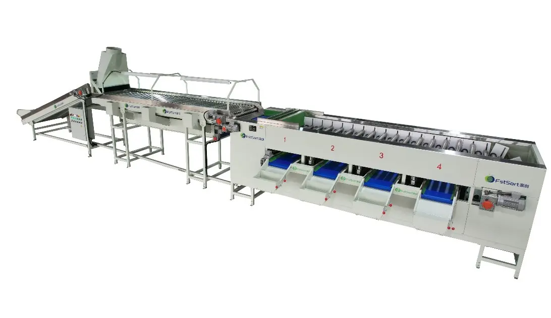 onion grading sorting machines manufacturer in China