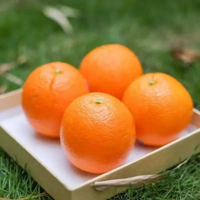 Orange processing line for Australia's early navel orange