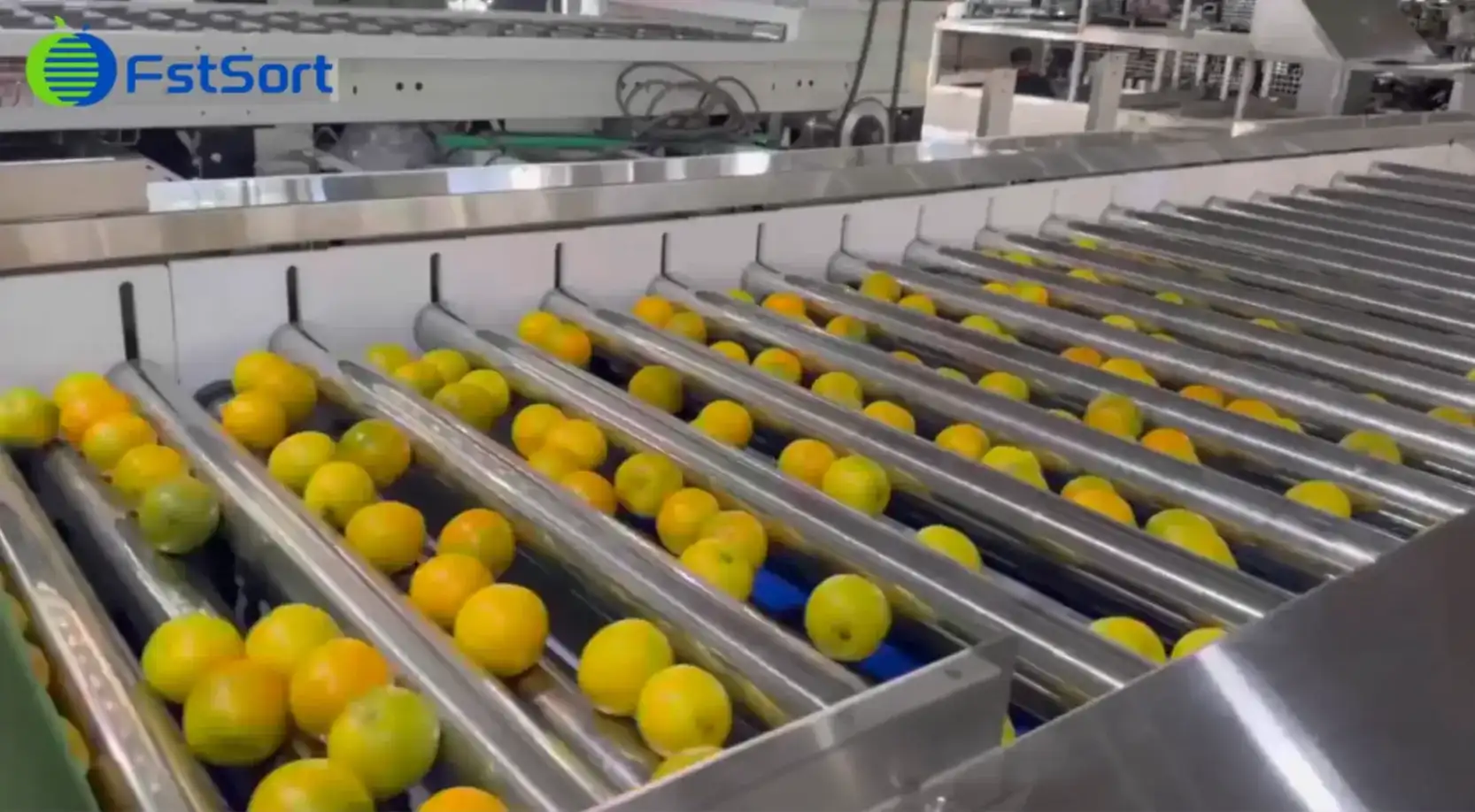 orange sorting machine by Fstsort