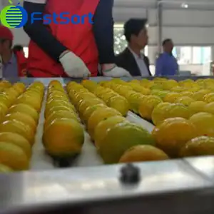 Oranges tripled their purchase price with the help of e-commerce