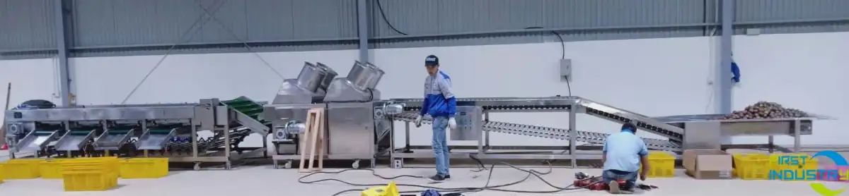 Passion fruit cleaning grading machine Passion fruit cleaning grading machine