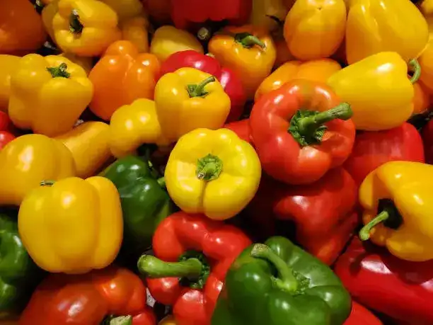 Pepper sorting machine buying guide