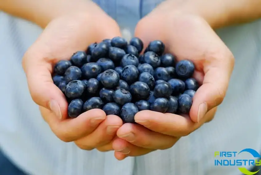 blueberry blueberry