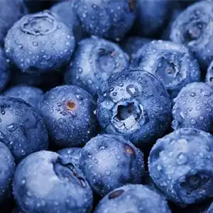 Peruvian blueberries have made another good export this season