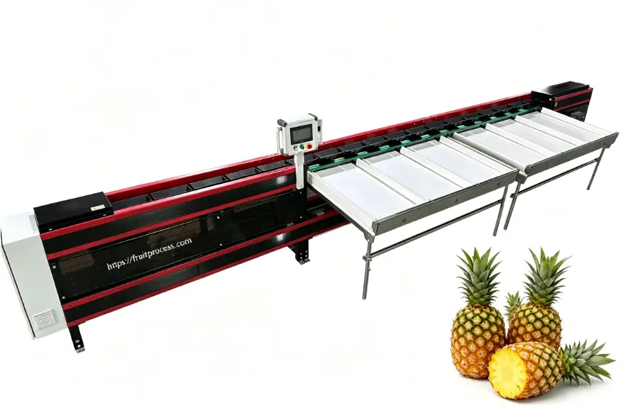 Pineapple weight sorting machine from fstsort