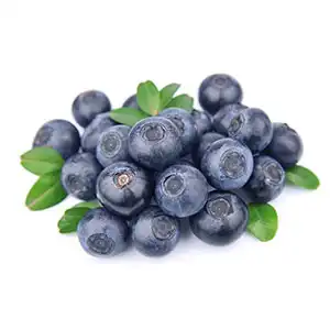 Planting conditions of Blueberry