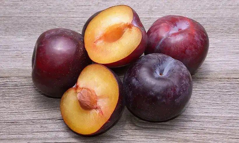 Plum four-channel grading machine