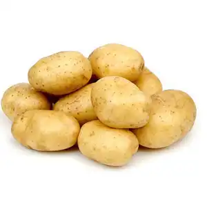 Potato sorting machine produced by First Industry