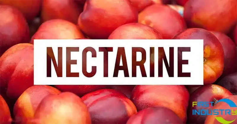 nectarine nectarine