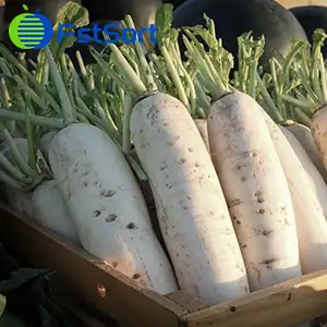 Radish grading machine