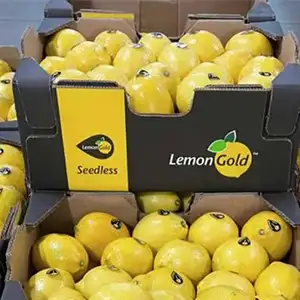 Seedless lemons in South Africa