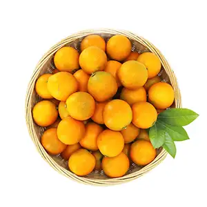 Small Kumquat Cleaning Classifier