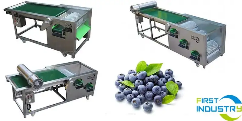 images/1585120501697blueberry-sizer.jpg