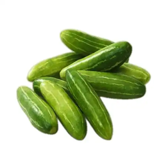 Coccinia grading/sorting machine