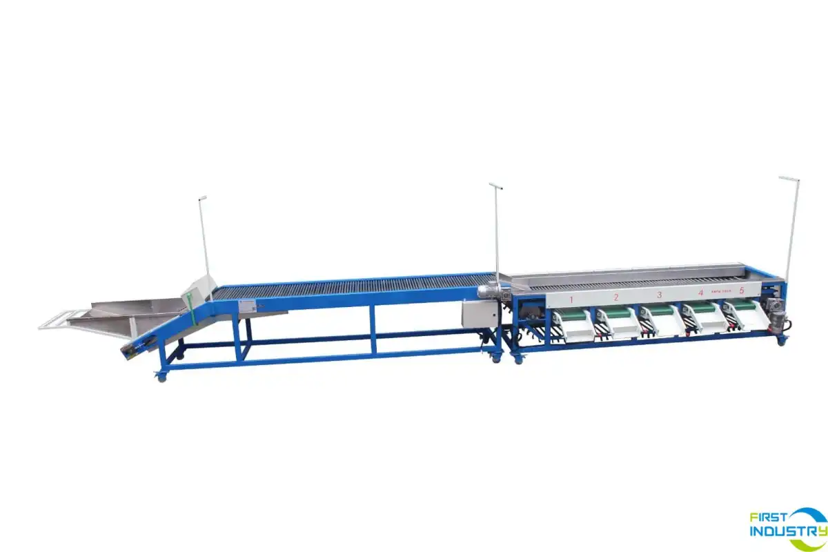 coccinia grading/sorting machine coccinia grading/sorting machine