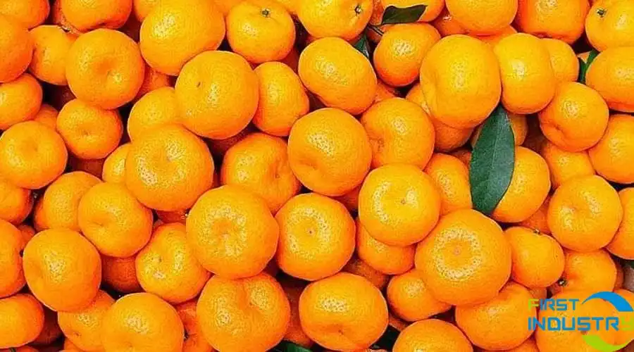 images/1586933720261微信图片_20200415144956.jpg