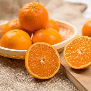South African citrus faces a shortage of containers