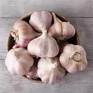 Spanish Roja garlic sorting packing machine