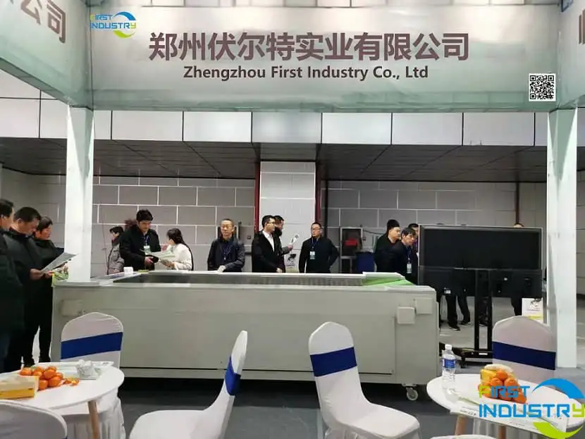 the exhibition of sweet potato grading machine the exhibition of sweet potato grading machine