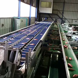 Sweet potato packing solutions