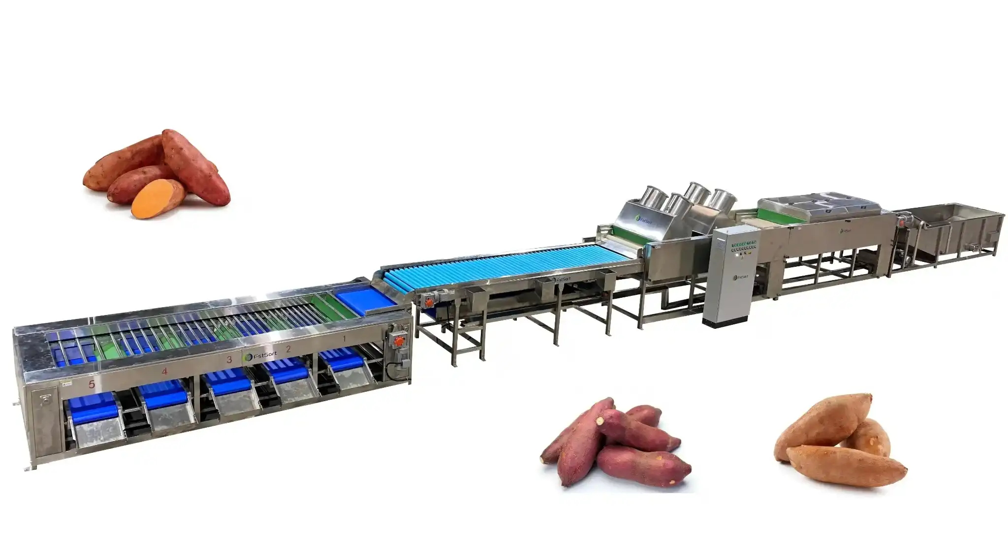 Sweet potato processing line