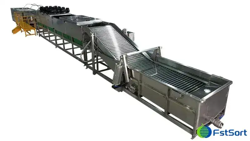 sweet potato washing drying and sorting line