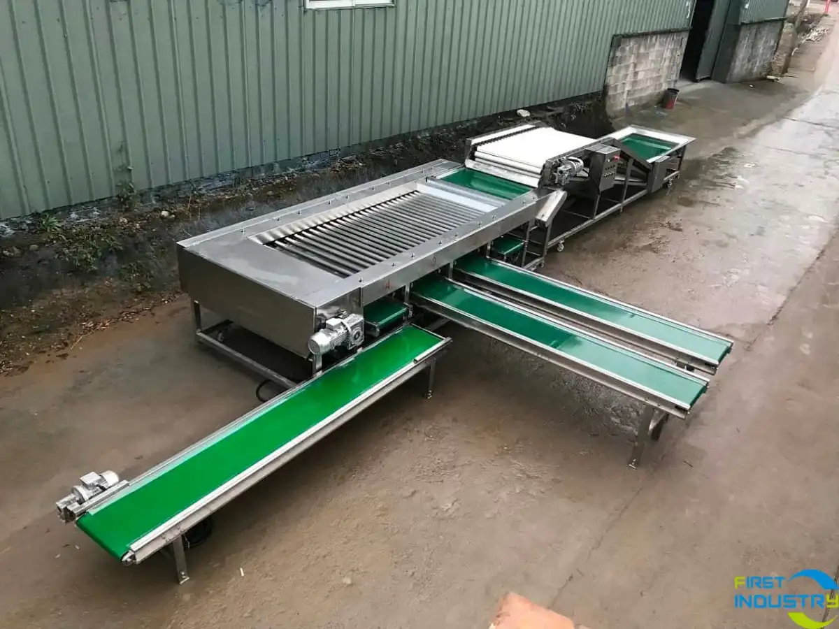 sweet potato grading machine sweet potato grading machine