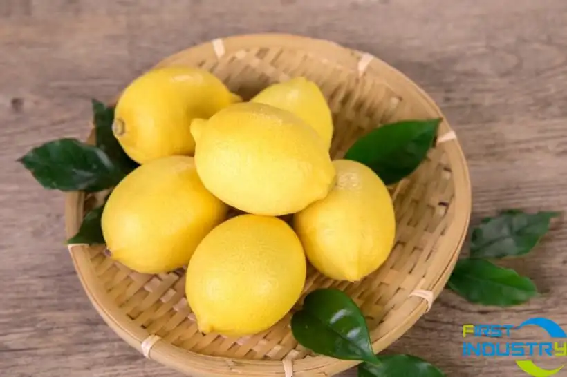 lemon sorter lemon sorter