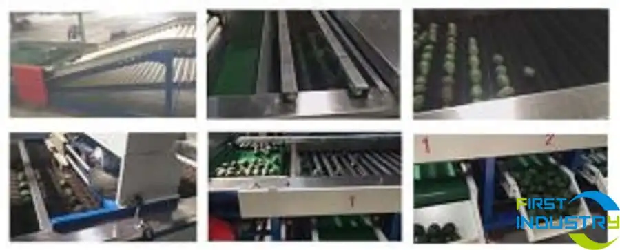 avocado processing machine avocado processing machine
