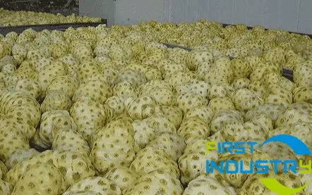 images/1558430390816Noni-fruit-processing-line-5.png images/1558430390816Noni-fruit-processing-line-5.png