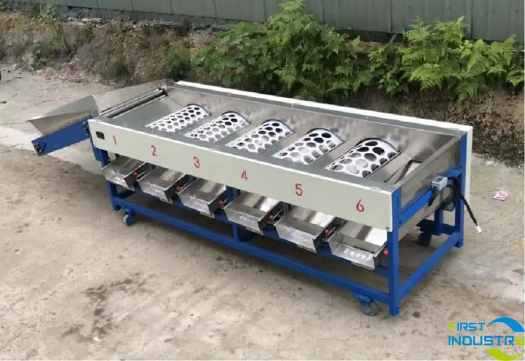 mandarin sizer mandarin sizer