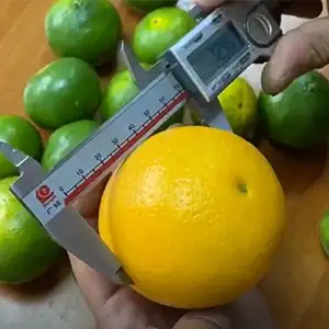 The citrus market, the citrus Processing machine
