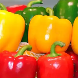 The Necessary Step For Offering Colored Bell Peppers