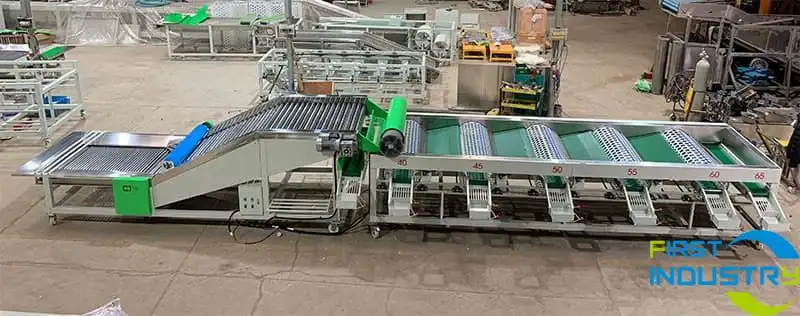 garlic-grader garlic-grader