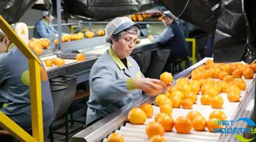 citrus grading machine citrus grading machine