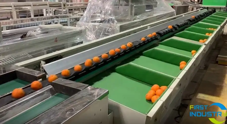 citrus grading machine citrus grading machine