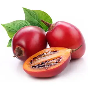 Under What Circumstances Need To Use Tree Tomato Grader
