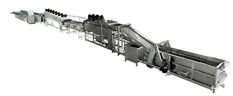 washing drying sorting line for Red Dragon Fruit and Yellow Pitahaya