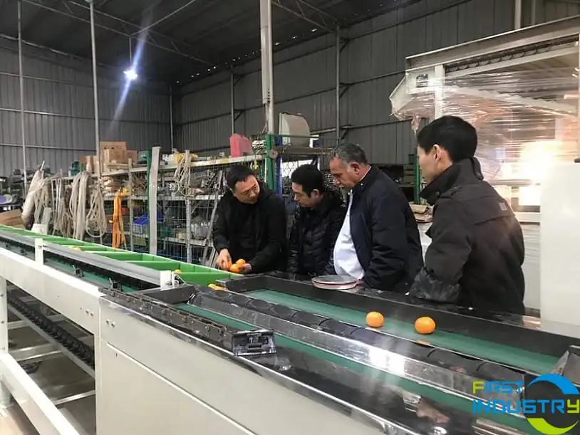 testing of weight sorter testing of weight sorter