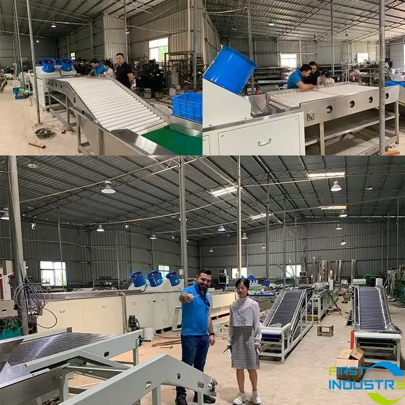 test tomato washing drying sorting machine test tomato washing drying sorting machine
