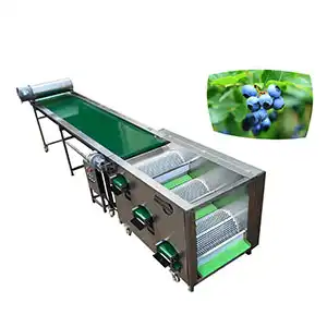 Why choose our blueberry grading machine