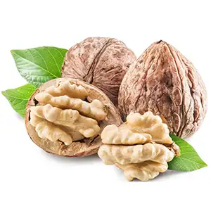 Why Choose Walnut Sorting Machine Supplier