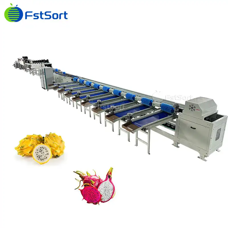 Why we sort dragon fruits by machine?